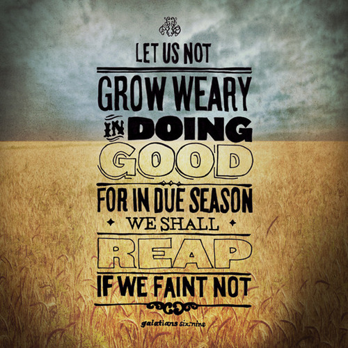 Do Not Grow Weary Day 27